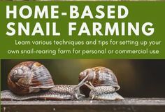 two snails sitting on top of each other with the words home - based snail farming