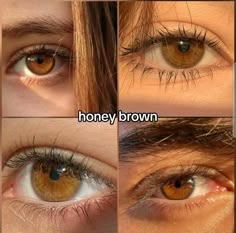 Honey Brown Eyes Aesthetic, Honey Colored Eyes, Amber Eyes Aesthetic, Amber Brown Eyes, Honey Eyes Color, Honey Brown Eyes, Amber Eyes Color, Hypnotic Eyes