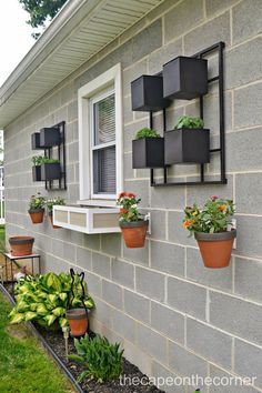 some plants are hanging on the side of a house with pots and flowers in them