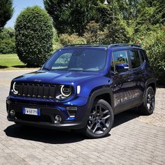 a blue jeep is parked in front of some bushes