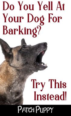 a dog with its mouth open and the words do you yell at your dog for barking? try this instead