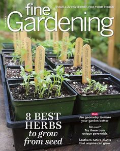 a magazine cover with seedlings in plastic trays on a wooden table and the title, fine gardening 8 best herbs to grow from seed