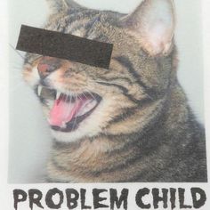 a cat with its mouth open and the words problem child on it's forehead