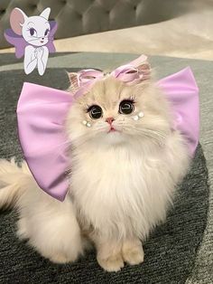 a white cat wearing a pink dress with a bow on it's head and eyes