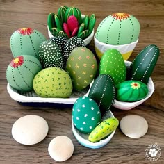 some green and white rocks and plants on a table