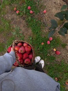 a person holding a basket full of apples in their hand while sitting on the ground