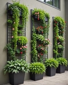 several planters with flowers and plants growing on them are lined up against the wall