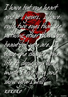 a red rose with the words i have but one heart and if years i have only two eyes that see nothing other than love