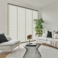 a living room filled with white furniture and a tall plant in the center of the room