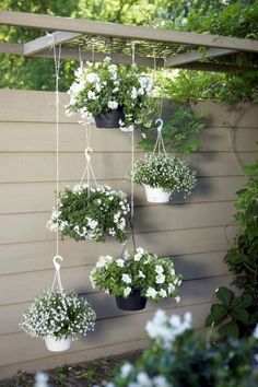 hanging flower pots on the side of a house with white flowers in them and greenery