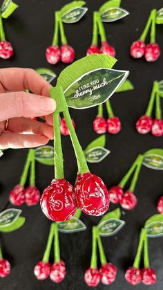 someone is holding up some cherries with leaves on them