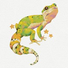 a green and yellow frog with stars on it's back legs, sitting in front of a white background