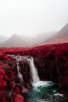 there is a waterfall in the middle of red grass