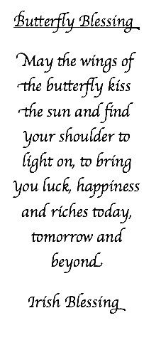 a poem written in black ink on white paper with the words, butterfly blessing may the wings of the butterfly kiss the sun and find