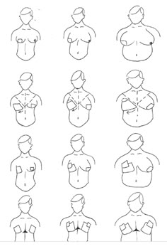 how to draw female torsos