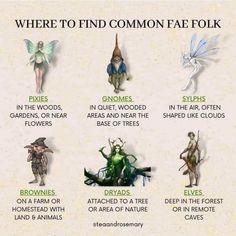 there are many different types of fairy characters