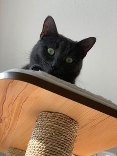 a black cat sitting on top of a wooden table next to a scratching post and rope