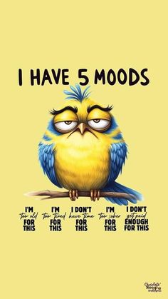 a yellow bird sitting on top of a branch with the words i have 5 modds