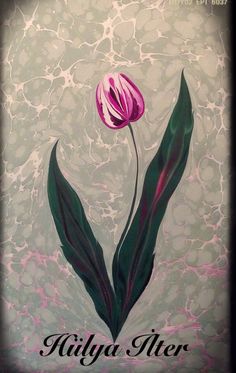 a painting of a pink flower with green leaves and the words, kittyla ater