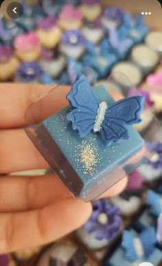 a hand holding a tiny blue box with a butterfly on it