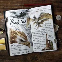 an open book with pictures of birds and writing on the pages next to other items