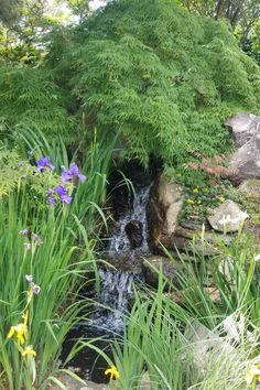 small waterfall surrounded by green gardens