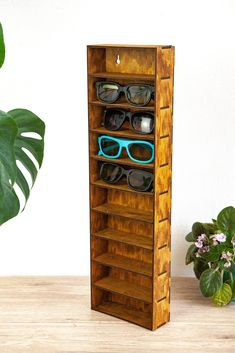 a wooden display case with sunglasses on it next to a potted plant and white wall