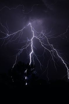 lightning striking over trees in the night sky