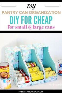 an organized diy for cheap canisters with the title overlay reads pantry can organization diy for cheap for small and large cans