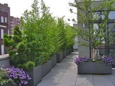 several planters on the side of a building with purple flowers in them and green trees