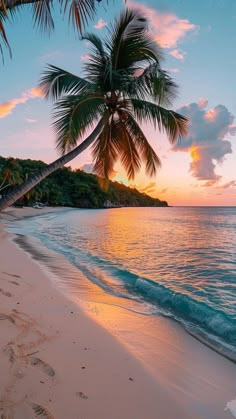 a palm tree on the beach at sunset with waves coming in from the ocean and an island in the distance