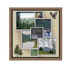 a collage of photos with trees and mountains in the background, including an eagle