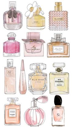 many different perfume bottles are shown in this drawing