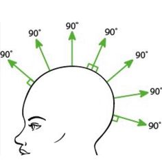 Layers Diagram Hair, Cosmetology Head Sheet, Haircut Sectioning Diagram, Balayage Sectioning Diagram, Haircut Scissor Skills, Trim Your Own Hair