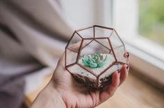 a person holding a glass vase with a succulent in it's hand