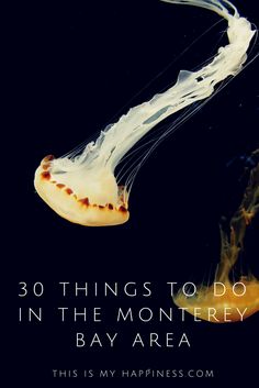 a jellyfish floating in the water with text overlay that reads, 30 things to do in the monterey bay area