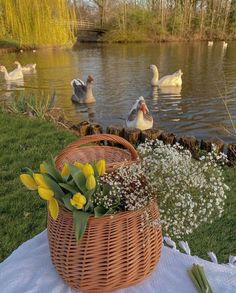 a basket filled with flowers sitting on top of a grass covered field next to a lake