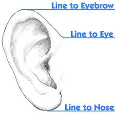 an ear with the words line to eye, line to nose