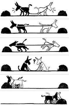 four lines that show different stages of the same animal, including two dogs and one cat