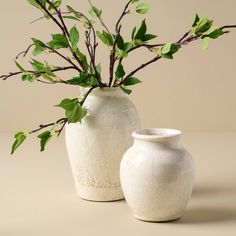 two white vases sitting next to each other with green leaves on the stems in them