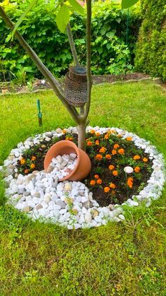 a potted tree in the middle of a garden with rocks and gravel around it