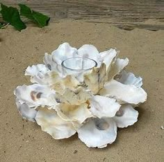 a candle holder made out of seashells on the sand with leaves around it