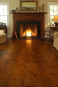 a fire place in a living room with wood floors