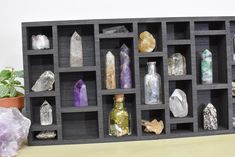 a shelf filled with lots of different types of rocks next to a potted plant