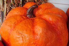 a large orange pumpkin sitting on top of a pile of red peppers next to some corn stalks