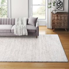 a living room with a gray couch and white rug