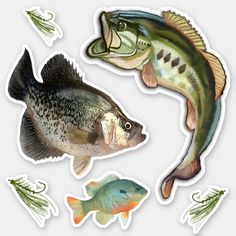 two fish stickers on a white background with different types of fish in the water