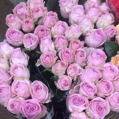 a bunch of pink roses are in a vase on the table next to each other