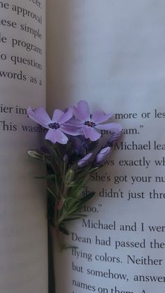 purple flowers are placed on the edge of an open book, with text in the background