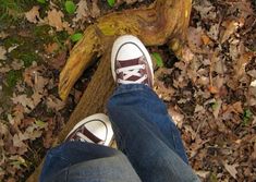 a person standing on top of leaves next to a fallen tree